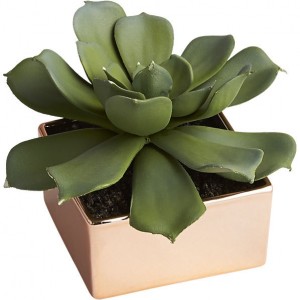 potted-succulent-with-copper-pot